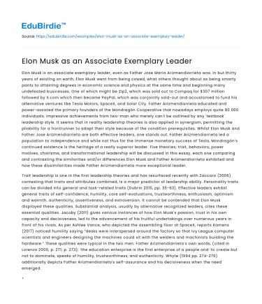 Elon Musk as an Associate Exemplary Leader
