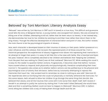 Beloved’ by Toni Morrison: Literary Analysis Essay