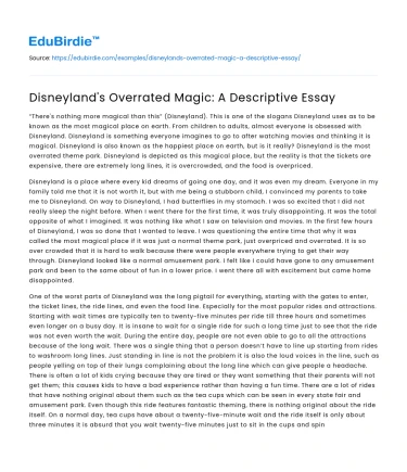 Disneyland’s Overrated Magic: A Descriptive Essay