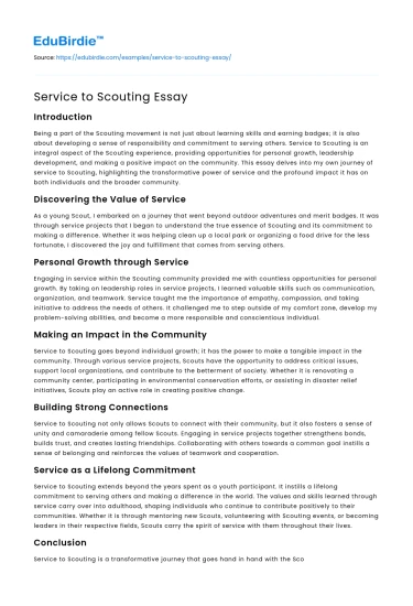 Service to Scouting Essay