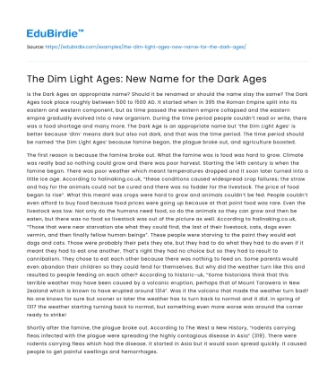 The Dim Light Ages: New Name for the Dark Ages