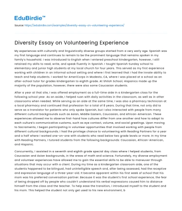 Diversity Essay on Volunteering Experience