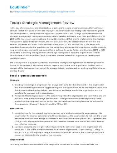 Tesla’s Strategic Management Review