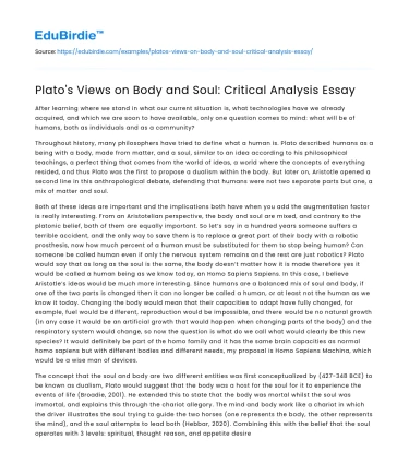 Plato’s Views on Body and Soul: Critical Analysis Essay