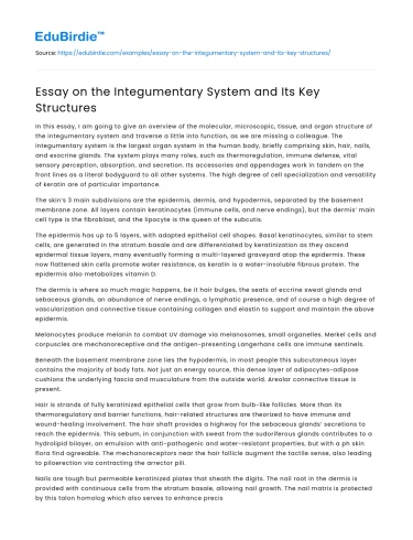 Essay on the Integumentary System and Its Key Structures