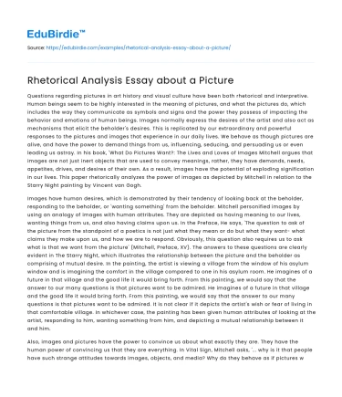 Rhetorical Analysis Essay about a Picture