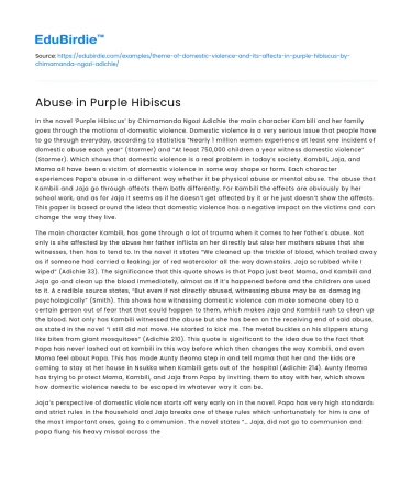 Abuse in Purple Hibiscus