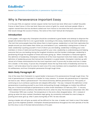Why Is Perseverance Important Essay