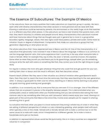 The Essence Of Subcultures: The Example Of Mexico