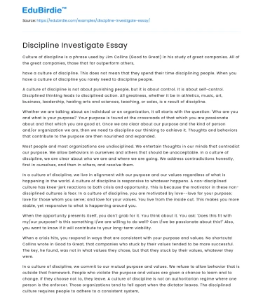 Discipline Investigate Essay