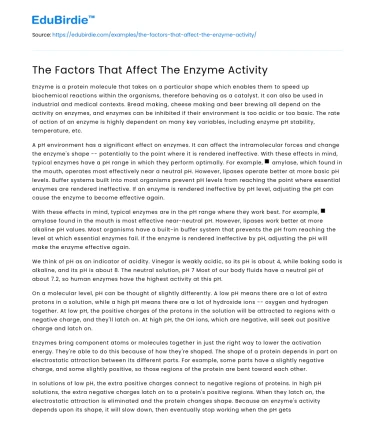 The Factors That Affect The Enzyme Activity
