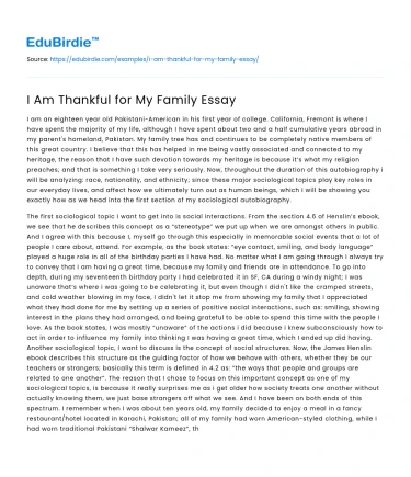 I Am Thankful for My Family Essay