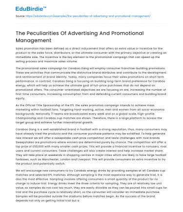 The Peculiarities Of Advertising And Promotional Management