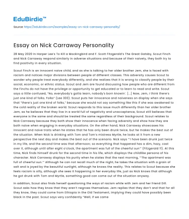 Essay on Nick Carraway Personality