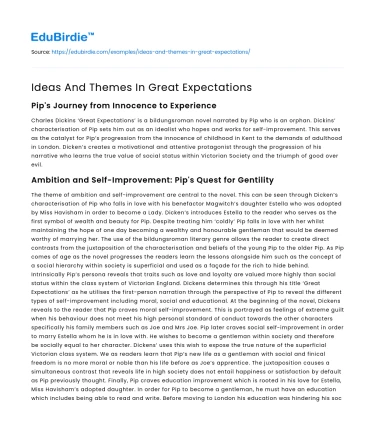 Ideas And Themes In Great Expectations