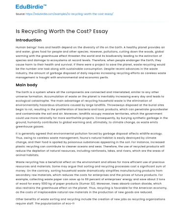 Is Recycling Worth the Cost? Essay