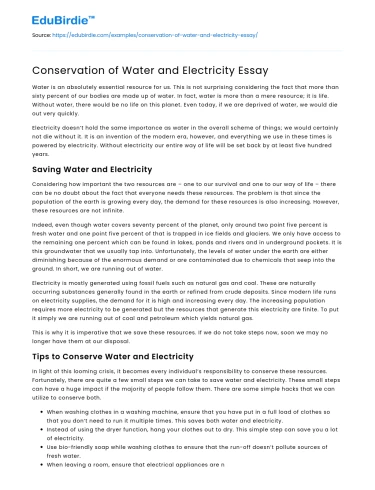 Conservation of Water and Electricity Essay