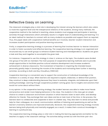 Reflective Insights on the Learning Process