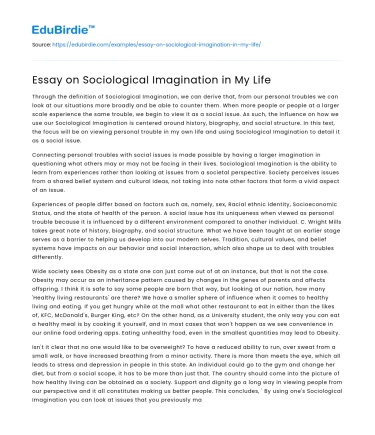 Essay on Sociological Imagination in My Life