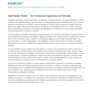 Gambian Rats – An Invasive Species to Florida