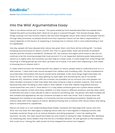 Into the Wild’ Argumentative Essay