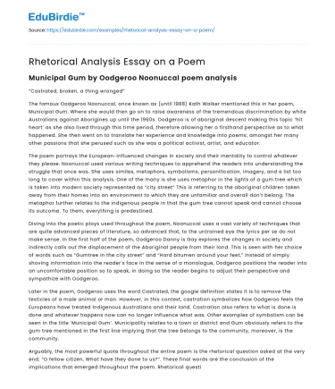 Rhetorical Analysis Essay on a Poem