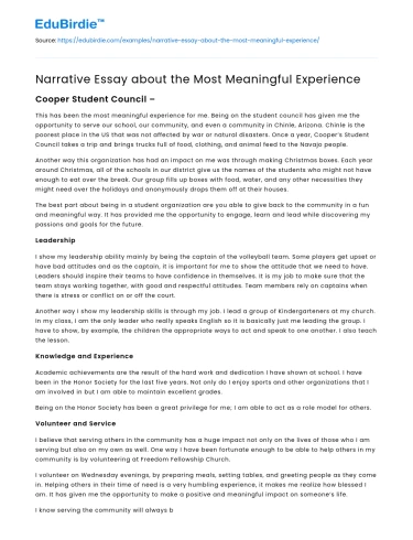 Narrative Essay about the Most Meaningful Experience