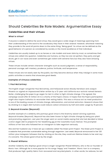 Should Celebrities Be Role Models: Argumentative Essay