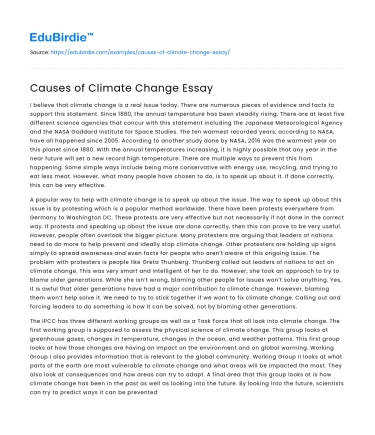 Causes of Climate Change Essay