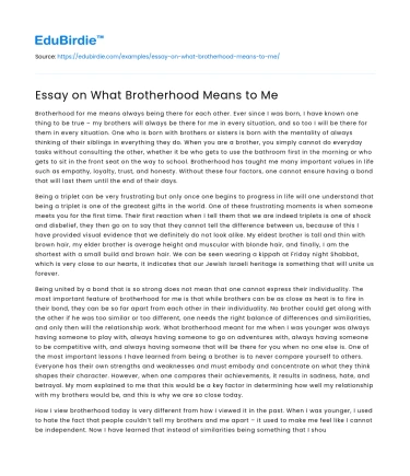 Essay on What Brotherhood Means to Me