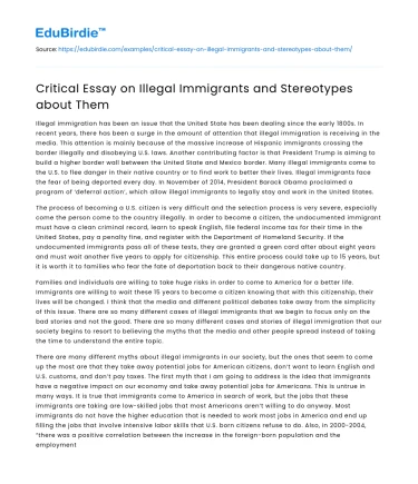 Critical Essay on Illegal Immigrants and Stereotypes about Them