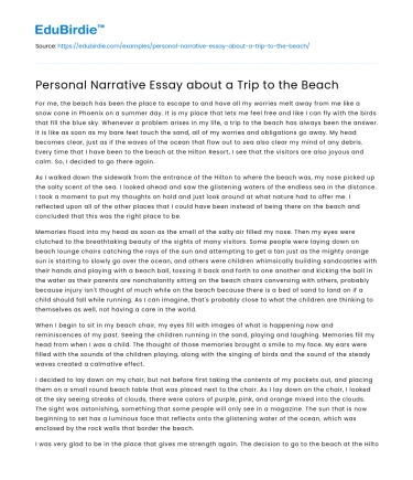 Personal Narrative Essay about a Trip to the Beach