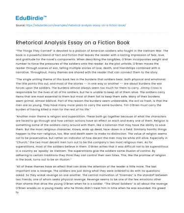 Rhetorical Analysis Essay on a Fiction Book
