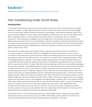 Fear Conditioning Under Social Stress