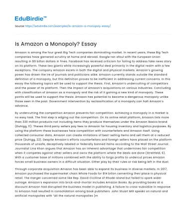 Is Amazon a Monopoly? Essay