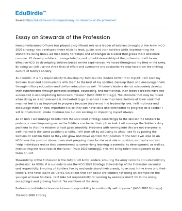 Essay on Stewards of the Profession