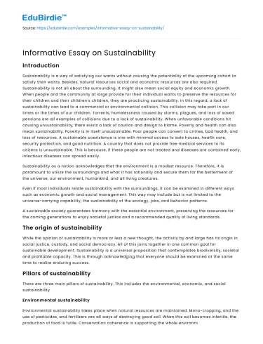 Informative Essay on Sustainability
