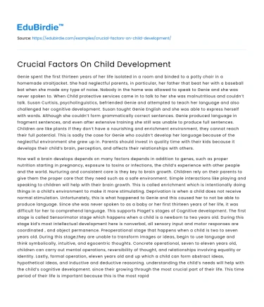 Crucial Factors On Child Development
