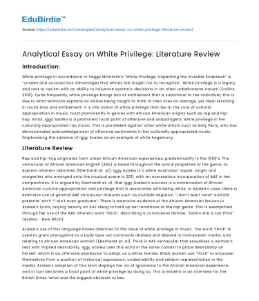 Analytical Essay on White Privilege: Literature Review