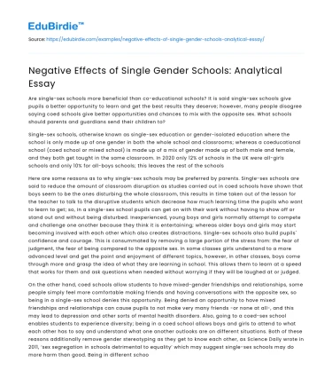 Negative Effects of Single Gender Schools: Analytical Essay