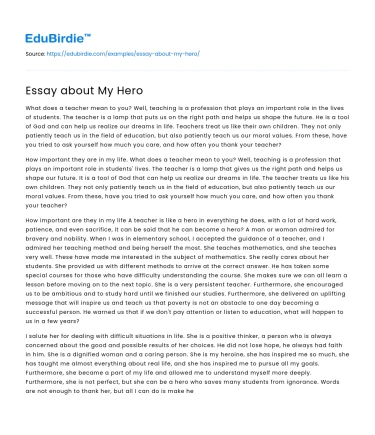 Essay about My Hero