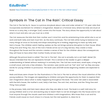 Symbols in ‘The Cat in The Rain’: Critical Essay