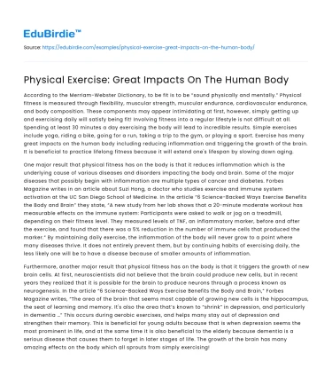 Physical Exercise: Great Impacts On The Human Body