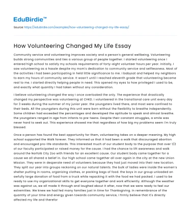 How Volunteering Changed My Life Essay