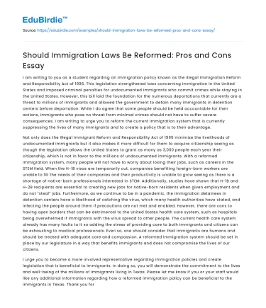 Should Immigration Laws Be Reformed: Pros and Cons Essay