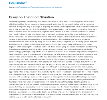 Essay on Rhetorical Situation