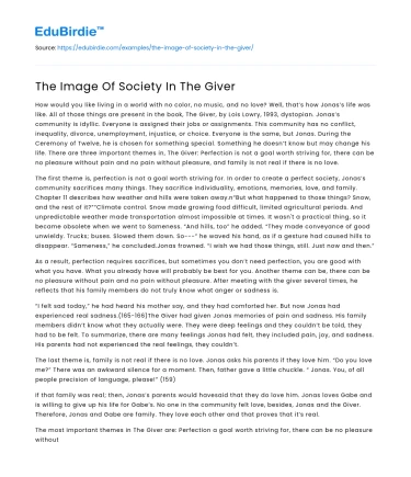 The Image Of Society In The Giver