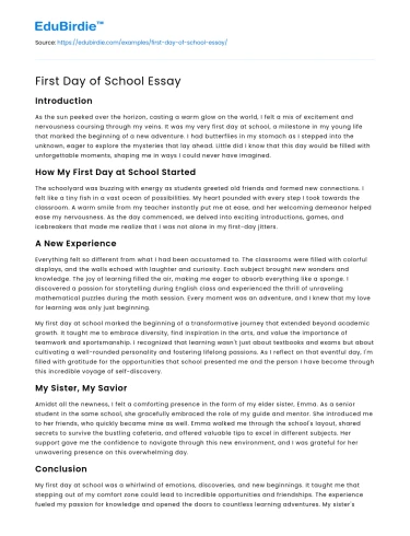 First Day of School Essay