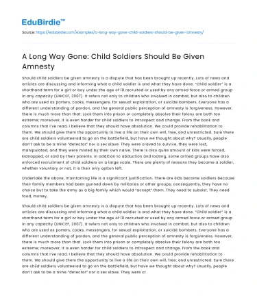 A Long Way Gone: Child Soldiers Should Be Given Amnesty