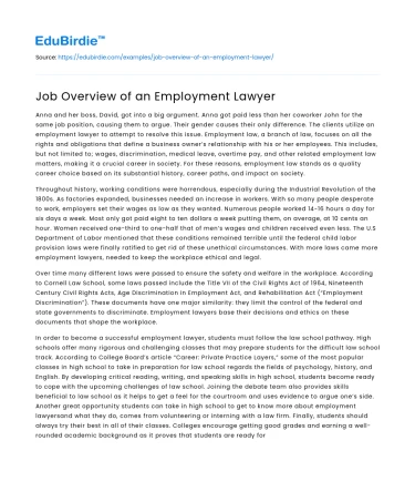 Job Overview of an Employment Lawyer